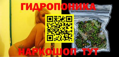 соль ск Новодвинск