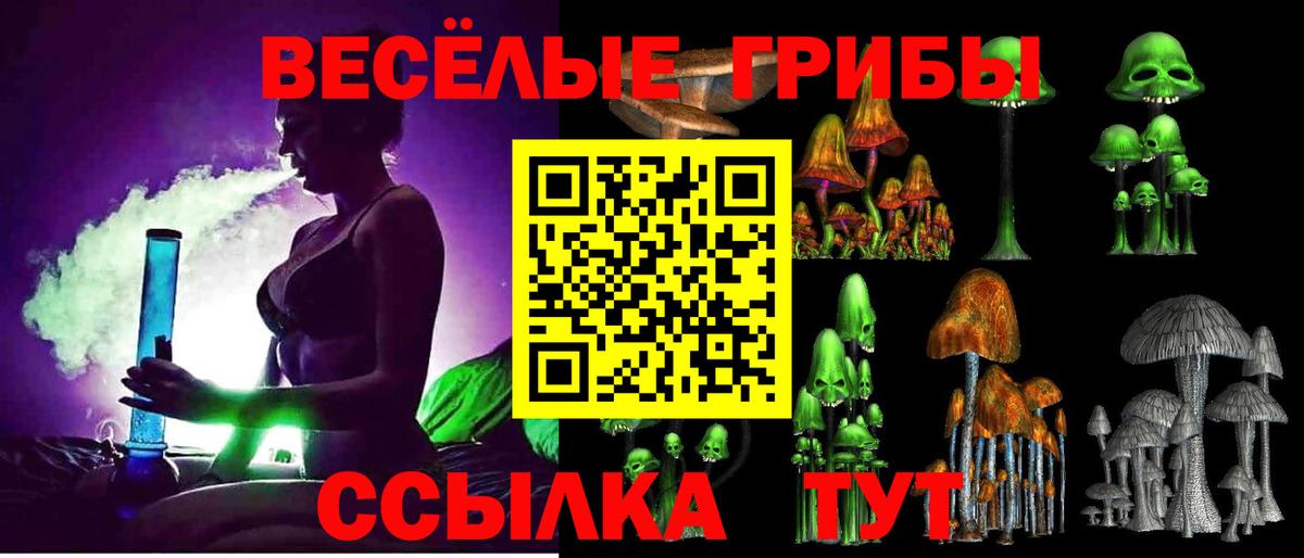 Саранск  Галлюциногенные грибы мухоморы  Вход с VPN 